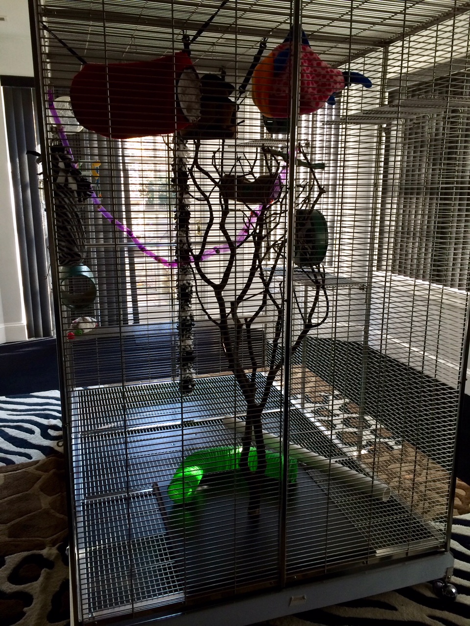sugar glider cage